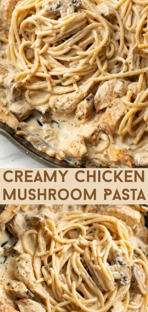 Looking for an easy comfort food recipe? This Chicken and Mushroom Pasta is creamy, flavorful, and family-friendly.